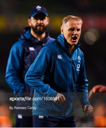 Ireland v Argentina - Guinness Series International