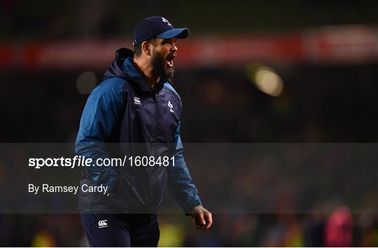 Ireland v Argentina - Guinness Series International