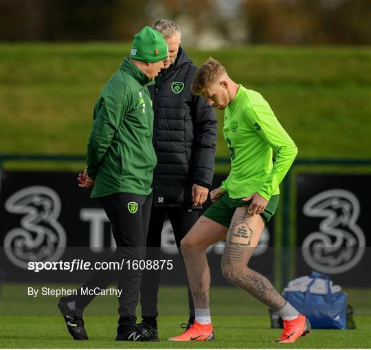 Republic of Ireland Training Session & Press Conference Republic of Ireland Training Session & Press Conference