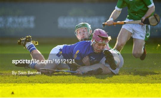 Ballyboden St Enda's v Coolderry - AIB Leinster GAA Hurling Senior Club Championship semi-final