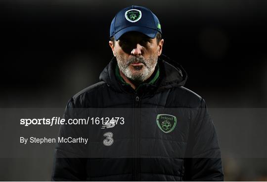 Republic of Ireland Training Session and Press Conference Republic of Ireland Training Session and Press Conference