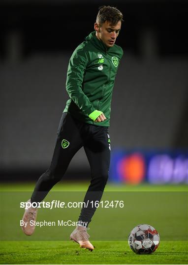 Republic of Ireland Training Session and Press Conference Republic of Ireland Training Session and Press Conference