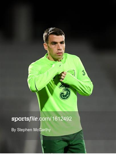 Republic of Ireland Training Session and Press Conference Republic of Ireland Training Session and Press Conference