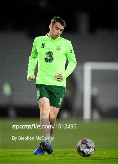 Republic of Ireland Training Session and Press Conference Republic of Ireland Training Session and Press Conference