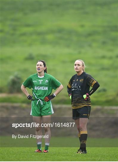 Leinster v Ulster - Ladies Football Interprovincial semi-final