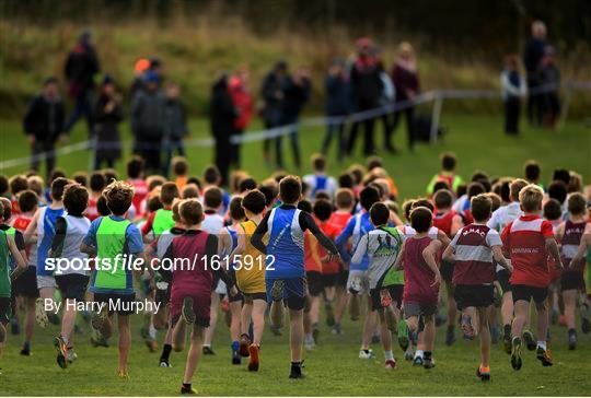 Irish Life Health National Senior & Junior Cross Country Championships