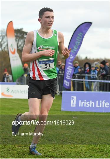 Irish Life Health National Senior & Junior Cross Country Championships