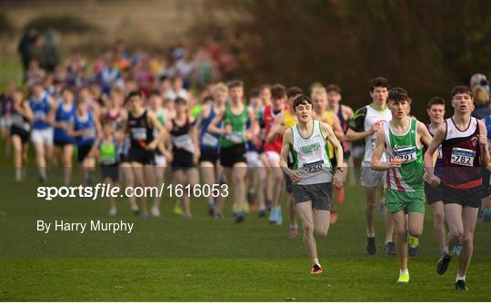 Irish Life Health National Senior & Junior Cross Country Championships