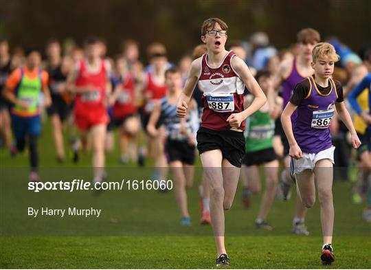 Irish Life Health National Senior & Junior Cross Country Championships