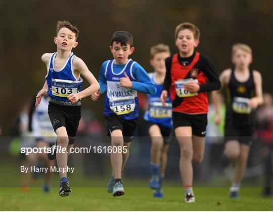 Irish Life Health National Senior & Junior Cross Country Championships