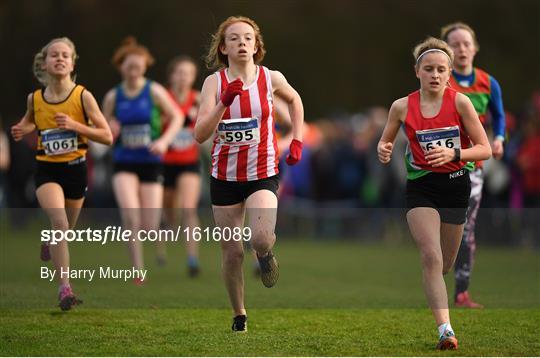 Irish Life Health National Senior & Junior Cross Country Championships