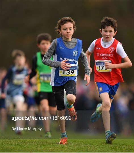 Irish Life Health National Senior & Junior Cross Country Championships