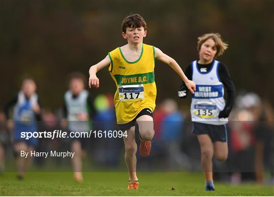 Irish Life Health National Senior & Junior Cross Country Championships