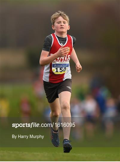 Irish Life Health National Senior & Junior Cross Country Championships