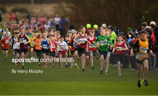 Irish Life Health National Senior & Junior Cross Country Championships