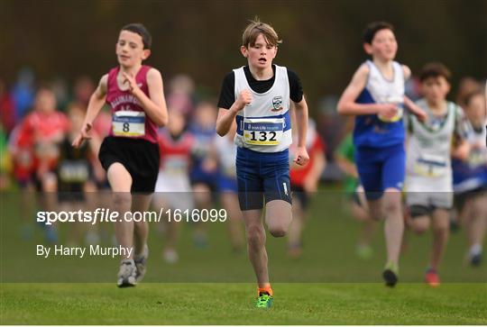 Irish Life Health National Senior & Junior Cross Country Championships