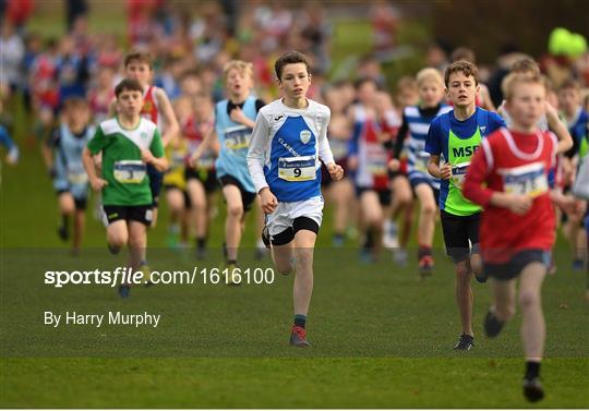 Irish Life Health National Senior & Junior Cross Country Championships