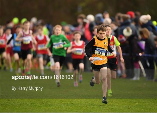 Irish Life Health National Senior & Junior Cross Country Championships