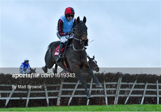 Fairyhouse Winter Festival - Sunday