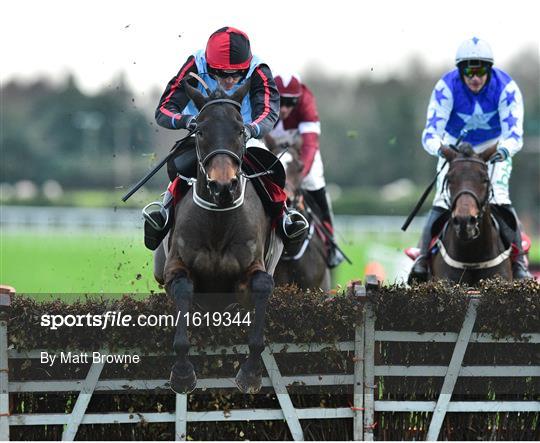 Fairyhouse Winter Festival - Sunday