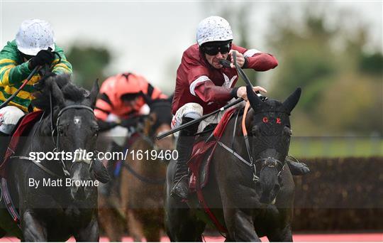 Fairyhouse Winter Festival - Sunday