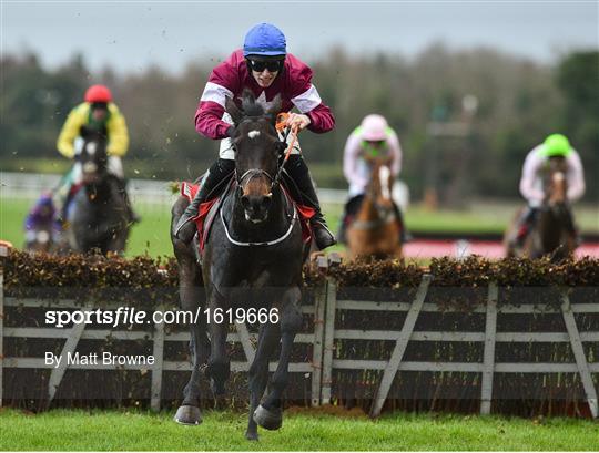 Fairyhouse Winter Festival - Sunday