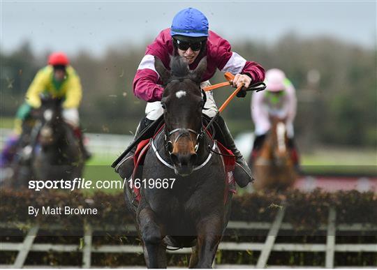 Fairyhouse Winter Festival - Sunday