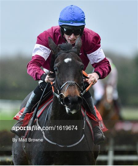 Fairyhouse Winter Festival - Sunday