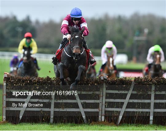 Fairyhouse Winter Festival - Sunday