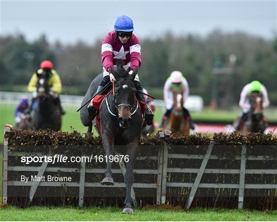 Fairyhouse Winter Festival - Sunday