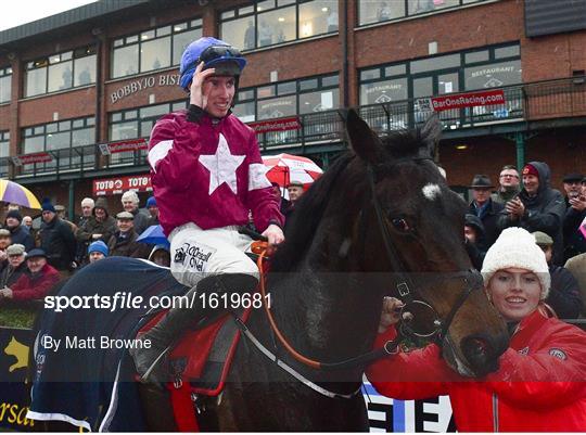 Fairyhouse Winter Festival - Sunday