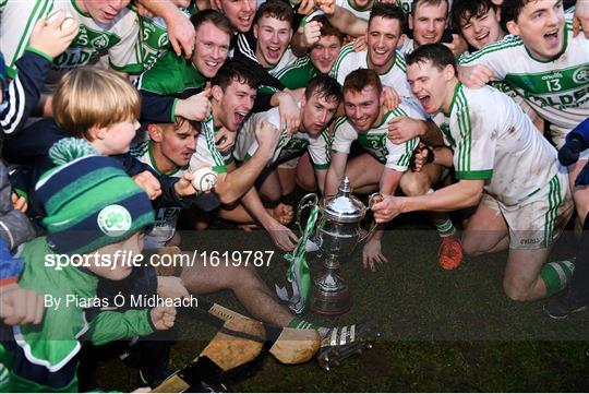 Ballyboden St Enda's v Ballyhale Shamrocks - AIB Leinster GAA Hurling Senior Club Championship Final