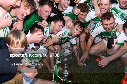Ballyboden St Enda's v Ballyhale Shamrocks - AIB Leinster GAA Hurling Senior Club Championship Final Ballyboden St Enda's v Ballyhale Shamrocks - AIB Leinster GAA Hurling Senior Club Championship Final