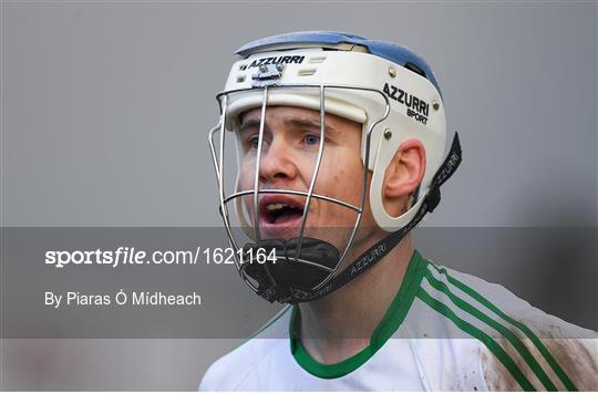 Ballyboden St Enda's v Ballyhale Shamrocks - AIB Leinster GAA Hurling Senior Club Championship Final Ballyboden St Enda's v Ballyhale Shamrocks - AIB Leinster GAA Hurling Senior Club Championship Final