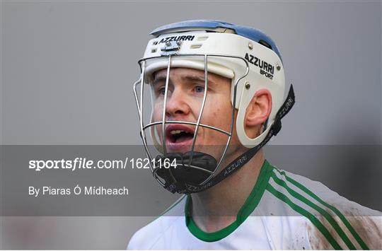 Ballyboden St Enda's v Ballyhale Shamrocks - AIB Leinster GAA Hurling Senior Club Championship Final