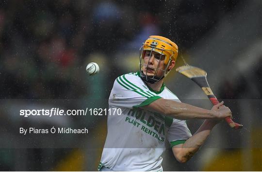 Ballyboden St Enda's v Ballyhale Shamrocks - AIB Leinster GAA Hurling Senior Club Championship Final