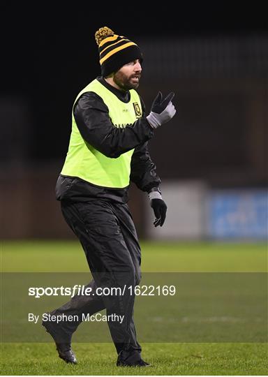 Foxrock-Cabinteely v Mourneabbey - All-Ireland Ladies Football Senior Club Championship Final