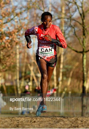 European Cross Country Championships