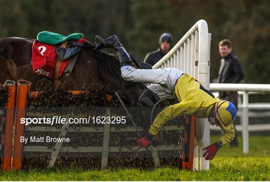 Sportsfile Images of the Year 2018