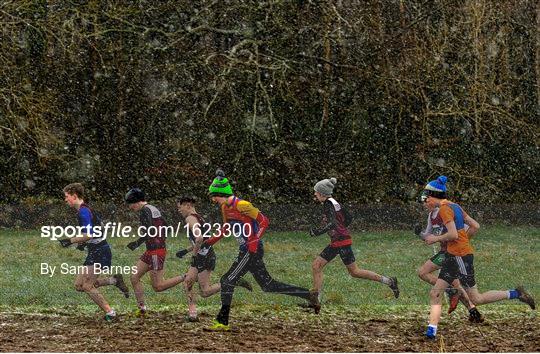 Sportsfile Images of the Year 2018