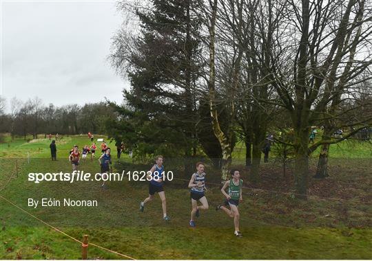 Irish Life Health Novice & Juvenile Uneven Age Cross Country Championships 2018 Irish Life Health Novice & Juvenile Uneven Age Cross Country Championships 2018