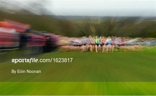 Irish Life Health Novice & Juvenile Uneven Age Cross Country Championships 2018
