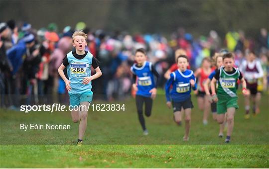 Irish Life Health Novice & Juvenile Uneven Age Cross Country Championships 2018