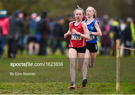 Irish Life Health Novice & Juvenile Uneven Age Cross Country Championships 2018