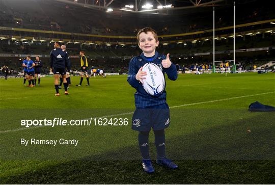 Mascots at Leinster v Bath - European Rugby Champions Cup Pool 1 Round 4