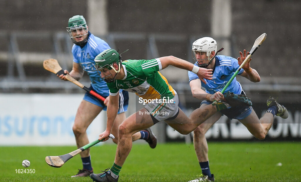 sportsfile-dublin-v-offaly-bord-na-m-na-walsh-cup-round-2-1624350
