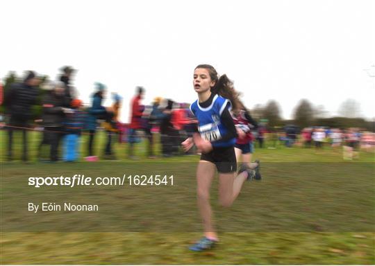 Irish Life Health Novice & Juvenile Uneven Age Cross Country Championships 2018