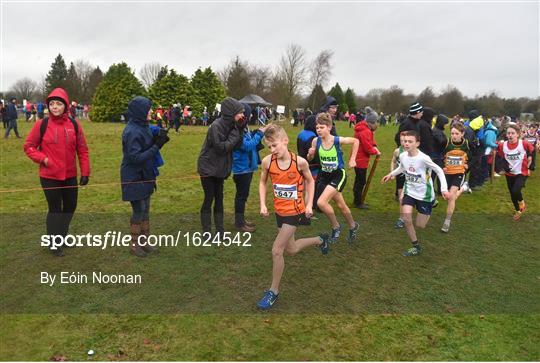Irish Life Health Novice & Juvenile Uneven Age Cross Country Championships 2018 Irish Life Health Novice & Juvenile Uneven Age Cross Country Championships 2018