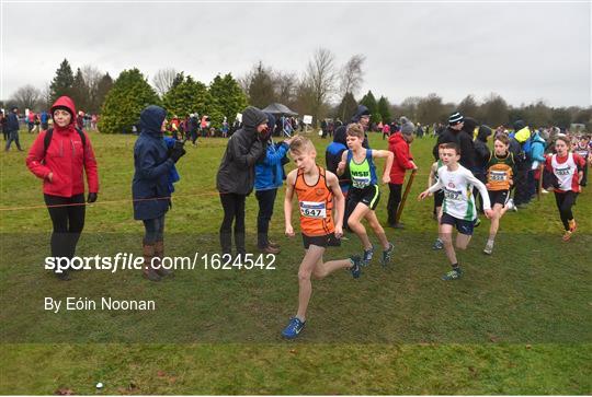 Irish Life Health Novice & Juvenile Uneven Age Cross Country Championships 2018