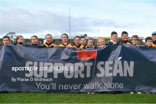 Meath v Dublin - Sean Cox Fundraising Match